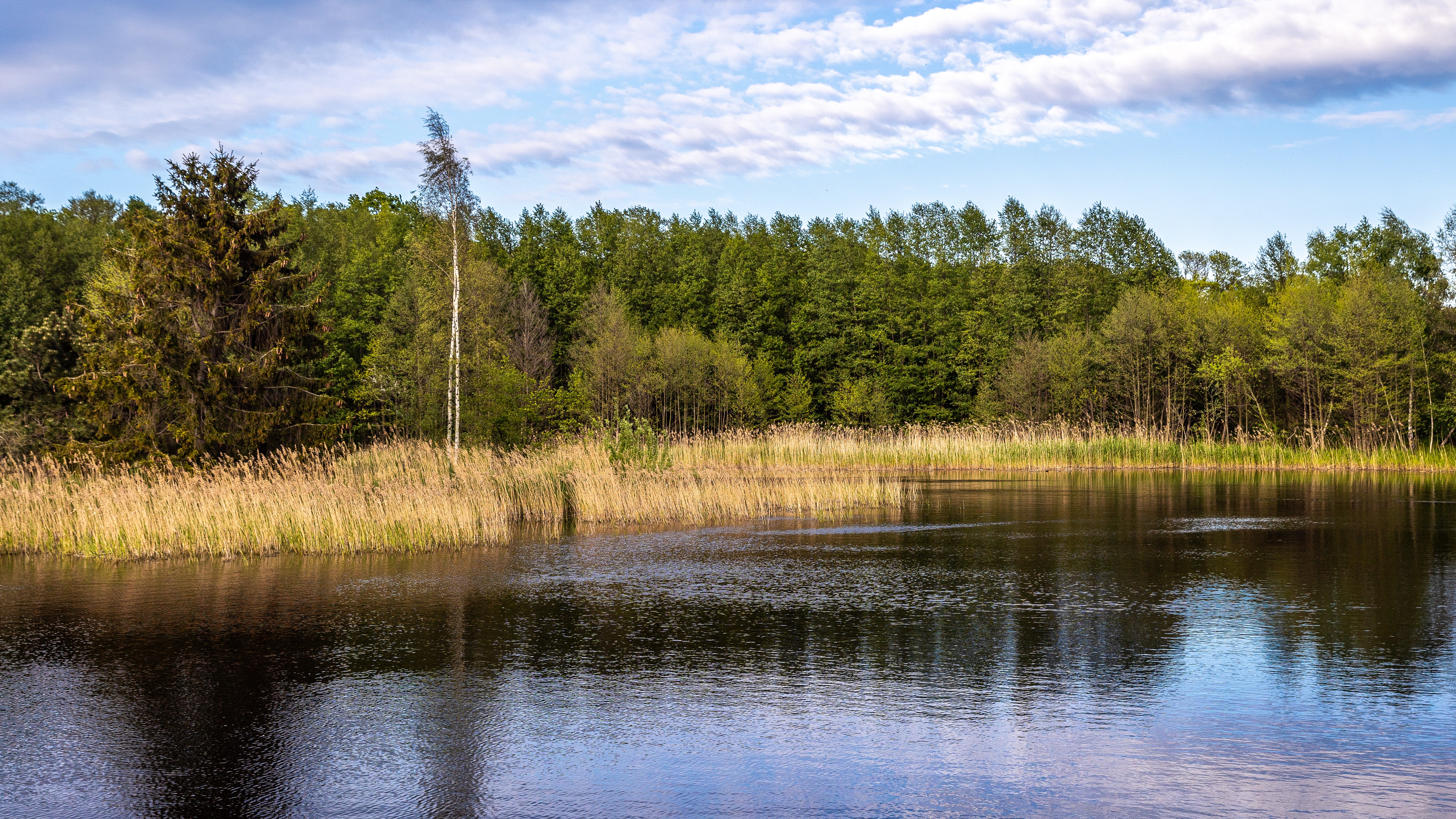 Działania dla klimatu w turystyce – przewodnik dla zrównoważonego Gdańska